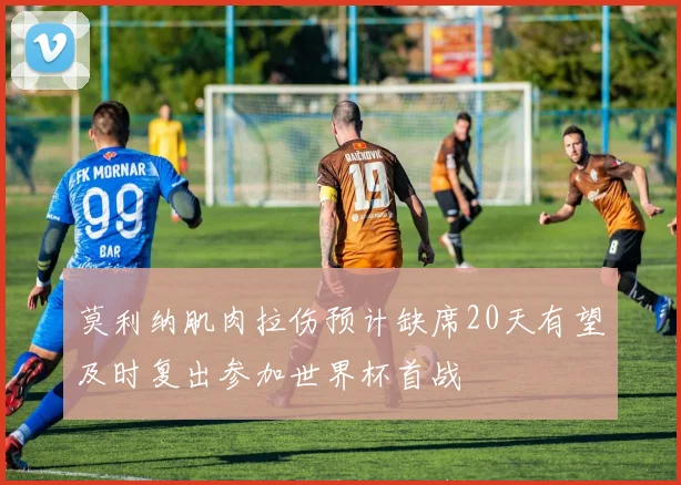 莫利纳肌肉拉伤预计缺席20天有望及时复出参加世界杯首战